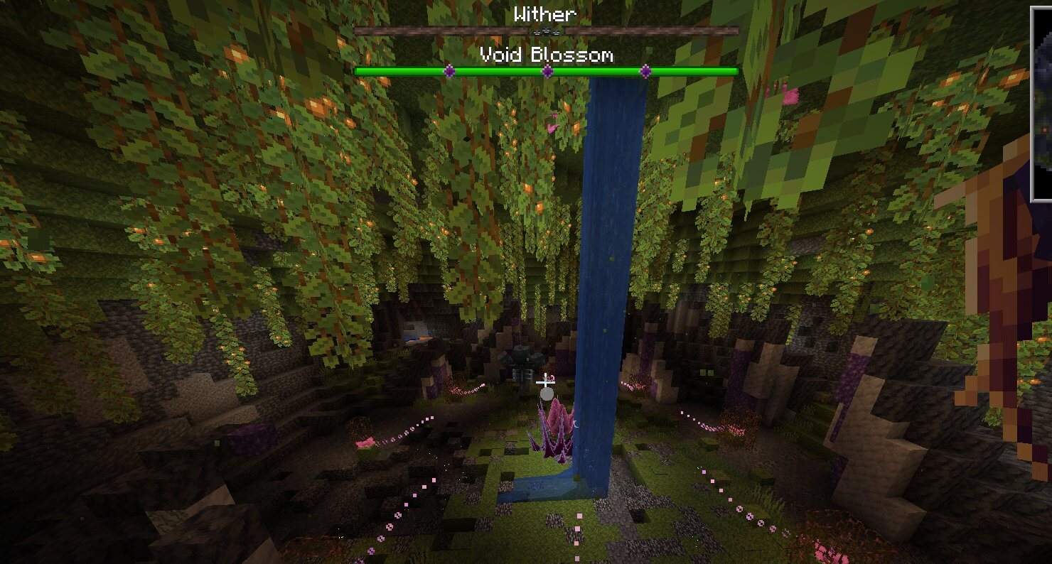 Pelea contra Void Blossom